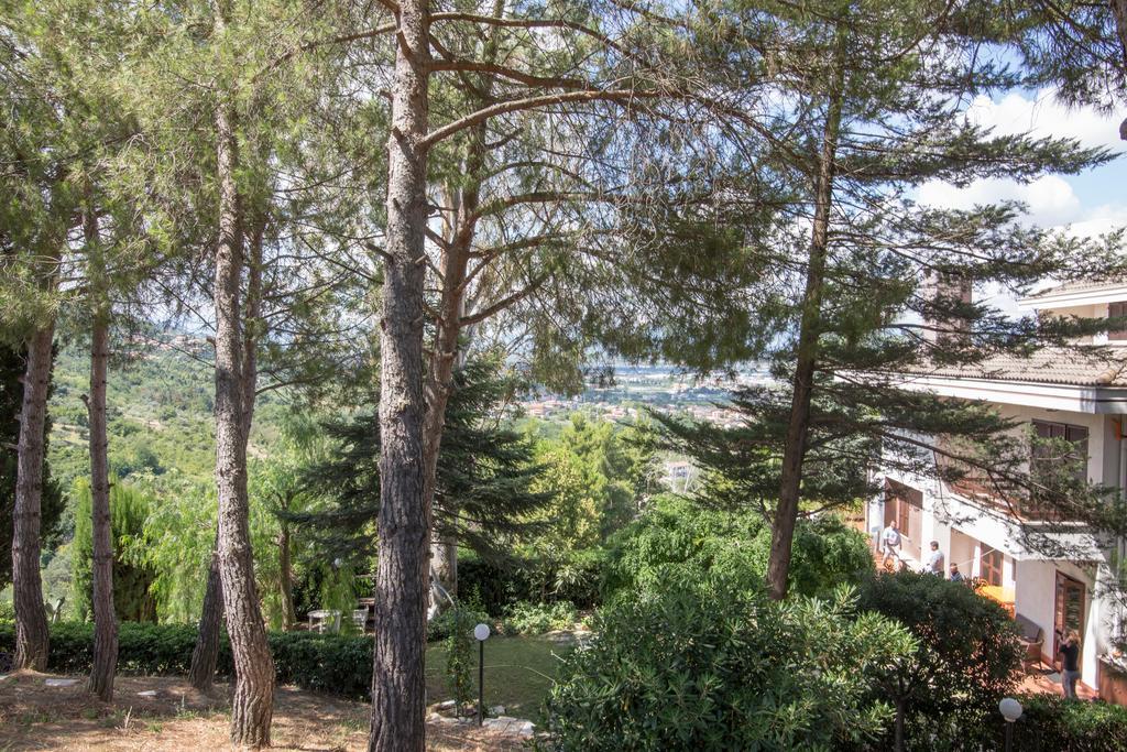 Aurum B&B San Giovanni Teatino Rum bild